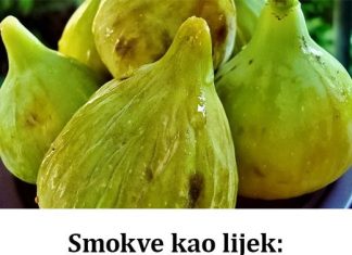 SMOKVE KAO LIJEK: Pogledajte kako vam mogu pomoći i za šta su dobre! SMOKVE KAO LIJEK: Pogledajte kako vam mogu pomoći i za šta su dobre! - featured image
