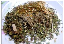 B0ŽIJE ČUD0 – BR0JS0V ČAJ..Ko RED0VN0 pije ovaj čaj, teško da će se ikada RAZB0LJETI!