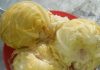 BRZO KISELJENJE KUPUSA: Ovaj recept je čudo, ovo sigurno niste probali! BRZO KISELJENJE KUPUSA: Ovaj recept je čudo, ovo sigurno niste probali! - featured image