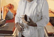 OVI SIMPTOMI UKAZUJU NA ZGRUŠENU KRV U TIJELU: Posle nje slijedi SRČANI I MOŽDANI UDAR ne slutite U kakvoj ste OPASNOSTI OVI SIMPTOMI UKAZUJU NA ZGRUŠENU KRV U TIJELU: Posle nje slijedi SRČANI I MOŽDANI UDAR ne slutite U kakvoj ste OPASNOSTI - featured image