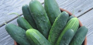 EVO ŠTA ĆE SE DESITI AKO SVAKOG DANA POJEDETE PO JEDAN KRASTAVAC: Nevjerovatno! EVO ŠTA ĆE SE DESITI AKO SVAKOG DANA POJEDETE PO JEDAN KRASTAVAC: Nevjerovatno! - featured image