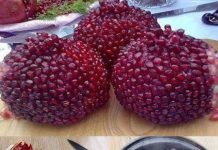 Skrivena moć kore nara: 10 zdravstvenih prednosti i kako je koristiti