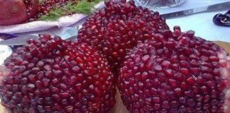 Skrivena moć kore nara: 10 zdravstvenih prednosti i kako je koristiti