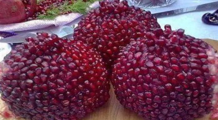 Skrivena moć kore nara: 10 zdravstvenih prednosti i kako je koristiti