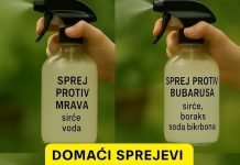 Uradi sam vodič: Domaći sprejevi protiv insekata za dom bez nametnika
