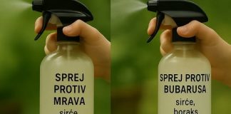 Uradi sam vodič: Domaći sprejevi protiv insekata za dom bez nametnika