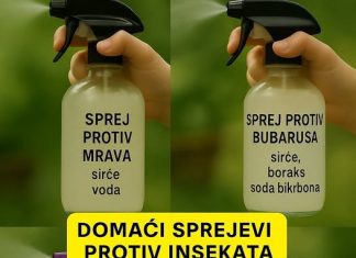 Uradi sam vodič: Domaći sprejevi protiv insekata za dom bez nametnika