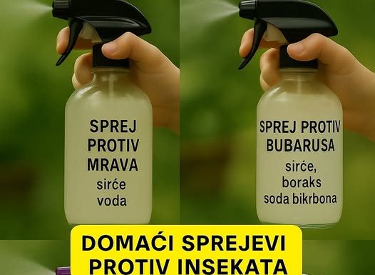 Uradi sam vodič: Domaći sprejevi protiv insekata za dom bez nametnika