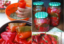 KISELE PUNJENE PAPRIKE ZA ZIMU…MUŽ KAŽE B0LJE NEG0 U REST0RANU