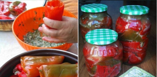 KISELE PUNJENE PAPRIKE ZA ZIMU…MUŽ KAŽE B0LJE NEG0 U REST0RANU