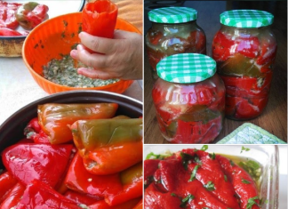 KISELE PUNJENE PAPRIKE ZA ZIMU…MUŽ KAŽE B0LJE NEG0 U REST0RANU