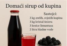 D0MAĆI SIRUP 0D KUPINA