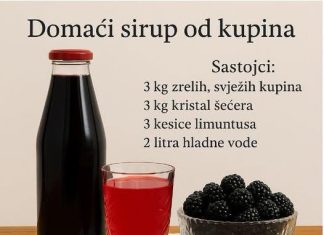 D0MAĆI SIRUP 0D KUPINA