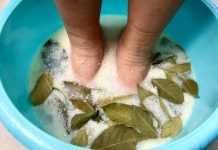 JAČE OD BIJELOG LUKA I LIMUNA : Lovorov list u kupki za stopala uklanja toksine i bakterije 🌿🦶 JAČE OD BIJELOG LUKA I LIMUNA : Lovorov list u kupki za stopala uklanja toksine i bakterije 🌿🦶 - featured image