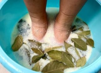 JAČE OD BIJELOG LUKA I LIMUNA : Lovorov list u kupki za stopala uklanja toksine i bakterije 🌿🦶 JAČE OD BIJELOG LUKA I LIMUNA : Lovorov list u kupki za stopala uklanja toksine i bakterije 🌿🦶 - featured image