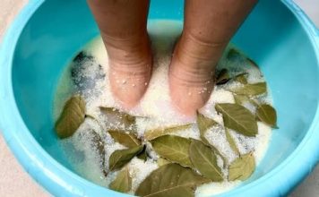 JAČE OD BIJELOG LUKA I LIMUNA : Lovorov list u kupki za stopala uklanja toksine i bakterije 🌿🦶 JAČE OD BIJELOG LUKA I LIMUNA : Lovorov list u kupki za stopala uklanja toksine i bakterije 🌿🦶 - featured image