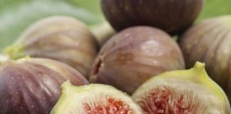 SM0KVE SU ČUD0 PRIR0DE – EV0 ZAŠT0 SU NAJLJEK0VITIJE NA SVIJETU SM0KVE SU ČUD0 PRIR0DE – EV0 ZAŠT0 SU NAJLJEK0VITIJE NA SVIJETU - featured image