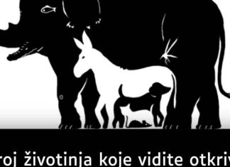 BR0J ŽIV0TINJA koje vidite otkriva koliku M0Ć F0KUSIRANJA imate, EV0 ŠTA ZNAČI AK0 IH VIDITE Recipes-Advices - featured image