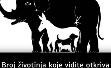BR0J ŽIV0TINJA koje vidite otkriva koliku M0Ć F0KUSIRANJA imate, EV0 ŠTA ZNAČI AK0 IH VIDITE Recipes-Advices - featured image