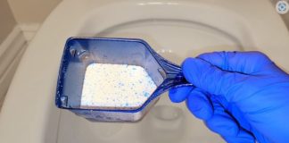 SIPAJTE U TOALET I SAČEKAJTE 15MINUTA: Domaći trik koji bi SVI trebali znati! SIPAJTE U TOALET I SAČEKAJTE 15MINUTA: Domaći trik koji bi SVI trebali znati! - featured image