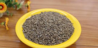 Božja biljka, jedina zapisana u Bibliji i Kuranu: Čisti jetru, leči nadutost, jača imunitet i krvne sudove Božja biljka, jedina zapisana u Bibliji i Kuranu: Čisti jetru, leči nadutost, jača imunitet i krvne sudove - featured image