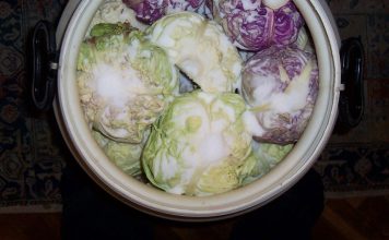 Samo ovo je prava količina za pravi rasol, evo koliko soli ide u 10 l vode za kiseli kupus Samo ovo je prava količina za pravi rasol, evo koliko soli ide u 10 l vode za kiseli kupus - featured image