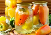 Paprike punjene kupusom su jako fina, ali i jeftina zimnica: Ovo je genijalno! Paprike punjene kupusom su jako fina, ali i jeftina zimnica: Ovo je genijalno! - featured image