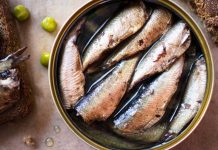 Jedite sardine što češće, i živećete dugo i bez bolesti: Evo zašto! Jedite sardine što češće, i živećete dugo i bez bolesti: Evo zašto! - featured image