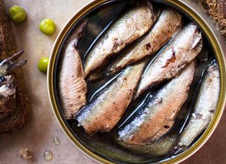 Jedite sardine što češće, i živećete dugo i bez bolesti: Evo zašto! Jedite sardine što češće, i živećete dugo i bez bolesti: Evo zašto! - featured image