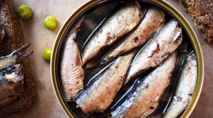 Jedite sardine što češće, i živećete dugo i bez bolesti: Evo zašto! Jedite sardine što češće, i živećete dugo i bez bolesti: Evo zašto! - featured image