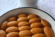 SOČNE HURMAŠICE SA PLAZMA KEKSOM