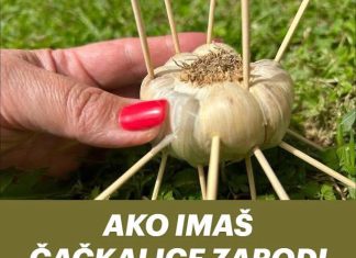 AKO IMAŠ ČAČKALICE ZABODI IH U BIJELI LUK I NEĆEŠ VJEROVATI ŠTA ĆE SE DESITI! AKO IMAŠ ČAČKALICE ZABODI IH U BIJELI LUK I NEĆEŠ VJEROVATI ŠTA ĆE SE DESITI! - featured image