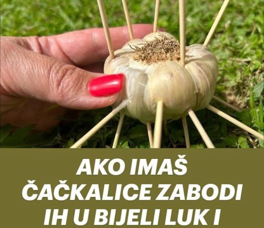 AKO IMAŠ ČAČKALICE ZABODI IH U BIJELI LUK I NEĆEŠ VJEROVATI ŠTA ĆE SE DESITI! AKO IMAŠ ČAČKALICE ZABODI IH U BIJELI LUK I NEĆEŠ VJEROVATI ŠTA ĆE SE DESITI! - featured image