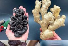 Crijeva kriju više otrova nego što mislite – Evo kako da ih očistite uz samo dva sastojka! Crijeva kriju više otrova nego što mislite – Evo kako da ih očistite uz samo dva sastojka! - featured image