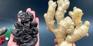 Crijeva kriju više otrova nego što mislite – Evo kako da ih očistite uz samo dva sastojka! Crijeva kriju više otrova nego što mislite – Evo kako da ih očistite uz samo dva sastojka! - featured image