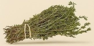 Najmoćniji prirodni lijek za parazite, urinarne infekcije, herpes i gripu: ulje origana Najmoćniji prirodni lijek za parazite, urinarne infekcije, herpes i gripu: ulje origana - featured image