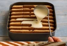 🍪 NEMA PEČENJA: KOLAČ OD KEKSA S VANILIJA PUDINGOM Hladan do savršenstva, poslastica koja se ne peče i toliko je ukusna da je idealna za svaku priliku 🍪 NEMA PEČENJA: KOLAČ OD KEKSA S VANILIJA PUDINGOM Hladan do savršenstva, poslastica koja se ne peče i toliko je ukusna da je idealna za svaku priliku - featured image