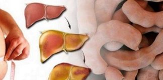 DORUČAK ZA OPORAVAK JETRE: Jede se 2 puta sedmično, obnavlja svaku ćeliju u tijelu! (RECEPT) DORUČAK ZA OPORAVAK JETRE: Jede se 2 puta sedmično, obnavlja svaku ćeliju u tijelu! (RECEPT) - featured image