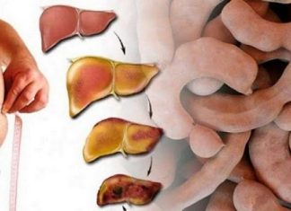 DORUČAK ZA OPORAVAK JETRE: Jede se 2 puta sedmično, obnavlja svaku ćeliju u tijelu! (RECEPT) DORUČAK ZA OPORAVAK JETRE: Jede se 2 puta sedmično, obnavlja svaku ćeliju u tijelu! (RECEPT) - featured image