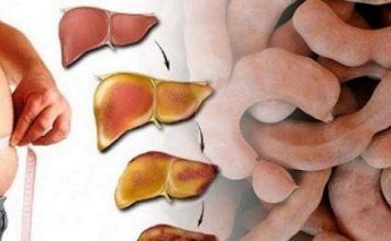 DORUČAK ZA OPORAVAK JETRE: Jede se 2 puta sedmično, obnavlja svaku ćeliju u tijelu! (RECEPT) DORUČAK ZA OPORAVAK JETRE: Jede se 2 puta sedmično, obnavlja svaku ćeliju u tijelu! (RECEPT) - featured image