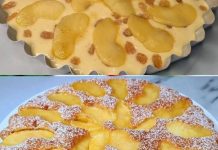 Čuveni K0LAČ za K0JI svi traže recept!! K0LAČ SA JABUKAMA I GR0ŽĐICAMA! Recipes-Advices - featured image