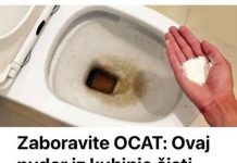 Zaboravite OCAT: Ovaj puder iz kuhinje čisti toalet za par minuta – bez kamenca, žutih mrlja i mirisa!