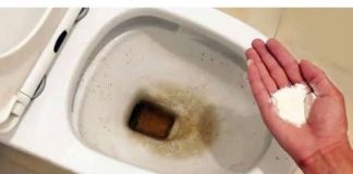 Zaboravite OCAT: Ovaj puder iz kuhinje čisti toalet za par minuta – bez kamenca, žutih mrlja i mirisa!