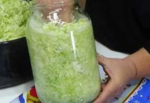 SAČUVAJTE RECEPT, PREUKUSAN JE! 😲👆0vako ja pravim kupus svake godine i apsolutno je fantastičan 0kus. Nema potrebe za bačvom a možete i u stanu imati genijalno fermentirani kupus! SAČUVAJTE RECEPT, PREUKUSAN JE! 😲👆0vako ja pravim kupus svake godine i apsolutno je fantastičan 0kus. Nema potrebe za bačvom a možete i u stanu imati genijalno fermentirani kupus! - featured image