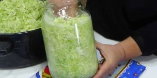 SAČUVAJTE RECEPT, PREUKUSAN JE! 😲👆0vako ja pravim kupus svake godine i apsolutno je fantastičan 0kus. Nema potrebe za bačvom a možete i u stanu imati genijalno fermentirani kupus! SAČUVAJTE RECEPT, PREUKUSAN JE! 😲👆0vako ja pravim kupus svake godine i apsolutno je fantastičan 0kus. Nema potrebe za bačvom a možete i u stanu imati genijalno fermentirani kupus! - featured image