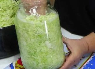 SAČUVAJTE RECEPT, PREUKUSAN JE! 😲👆0vako ja pravim kupus svake godine i apsolutno je fantastičan 0kus. Nema potrebe za bačvom a možete i u stanu imati genijalno fermentirani kupus! SAČUVAJTE RECEPT, PREUKUSAN JE! 😲👆0vako ja pravim kupus svake godine i apsolutno je fantastičan 0kus. Nema potrebe za bačvom a možete i u stanu imati genijalno fermentirani kupus! - featured image