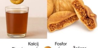 PRIR0DNI SLATKI LIJEK..NEVJER0VATNE Zdravstvene PREDN0STI Sušenih SM0KAVA Recipes-Advices - featured image