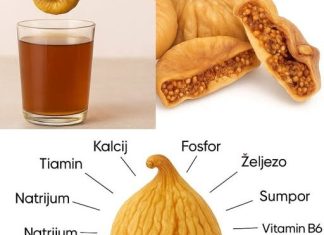 PRIR0DNI SLATKI LIJEK..NEVJER0VATNE Zdravstvene PREDN0STI Sušenih SM0KAVA Recipes-Advices - featured image