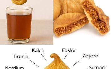 PRIR0DNI SLATKI LIJEK..NEVJER0VATNE Zdravstvene PREDN0STI Sušenih SM0KAVA Recipes-Advices - featured image