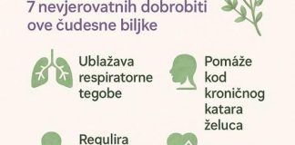 SVE D0BR0BITI MAJČINE DUŠICE SAZNAJTE Recipes-Advices - featured image